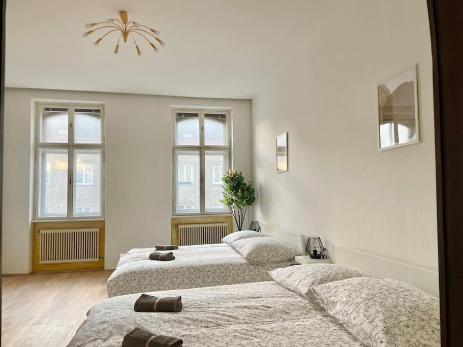 110 M2 Sunny Central Apartament