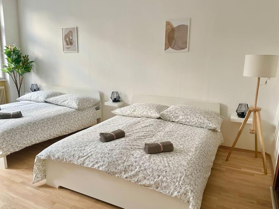 Apartament 110 M2 Sunny Central *