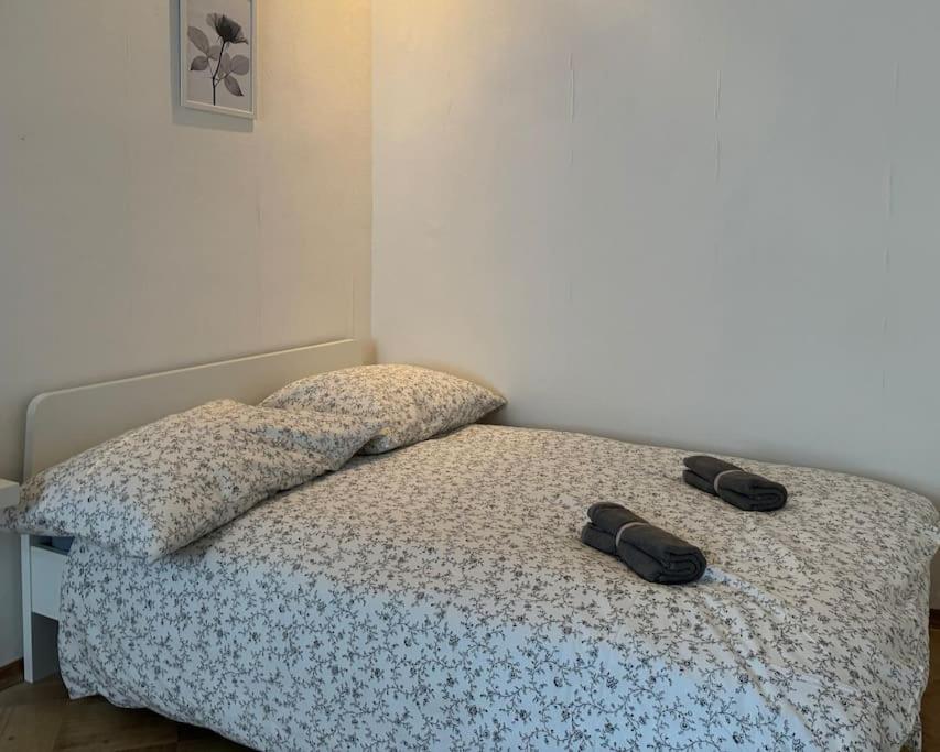 110 M2 Sunny Central Apartament Wiedeń