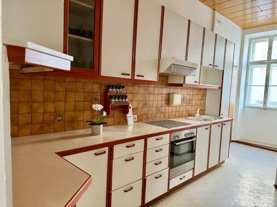 Apartament 110 M2 Sunny Central Wiedeń