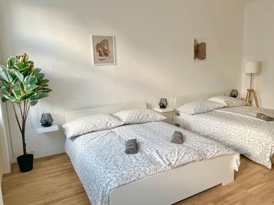 110 M2 Sunny Central Apartament *
