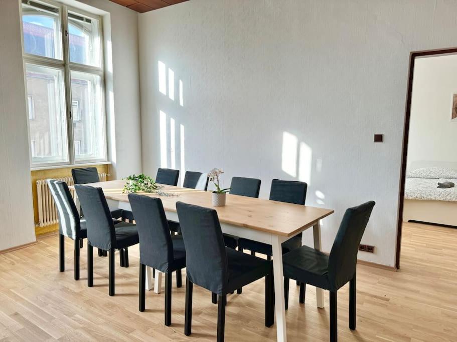 110 M2 Sunny Central Apartament Wiedeń