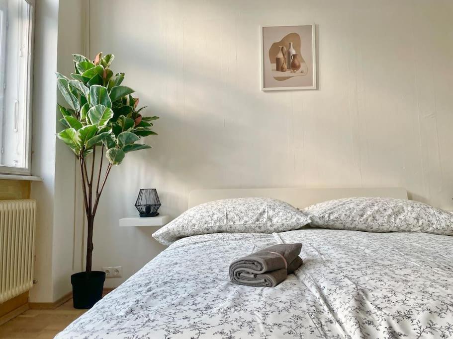 110 M2 Sunny Central Apartament *